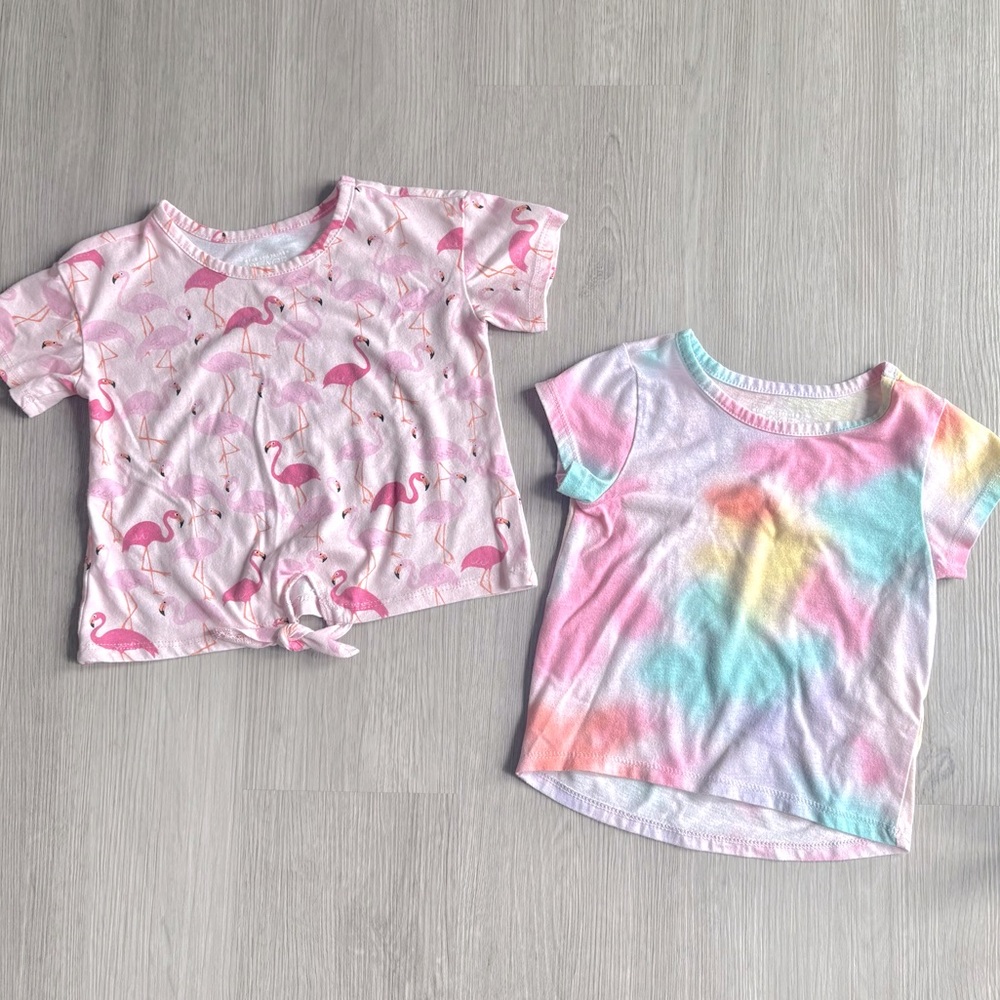 Two Children’s Place T-Shirts - Size 2T